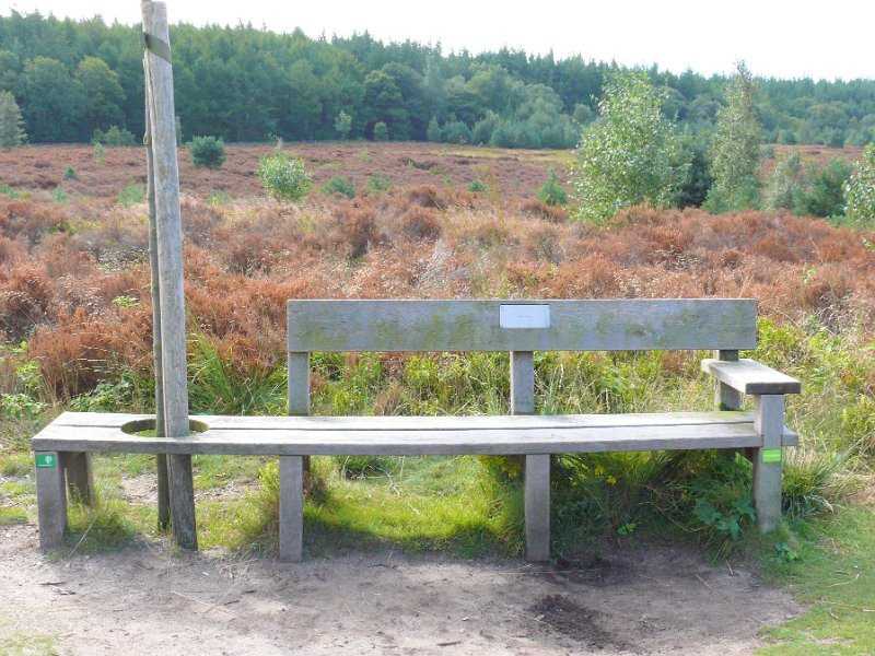bank