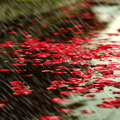  regen